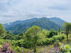 -紫鹊界梯田景区