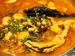 鸡鸭双拼-老号尤兔头(幸福店)