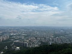 -杭州半山国家森林公园