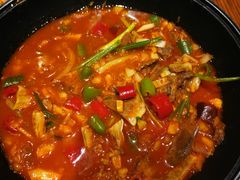 西红柿炖牛腩-阿罗新疆菜(人民广场店)