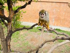 -济南野生动物世界