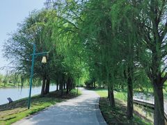-同里国家湿地公园