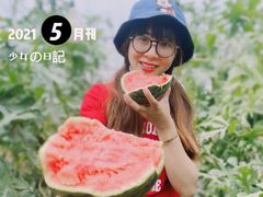 -西瓜小镇