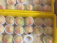 -老袁家蜜桃农场·阳山水蜜桃