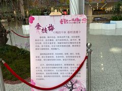 -深圳宝安国际机场