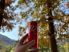 -昆嵛山石门里景区