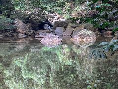 -鼎湖山风景区