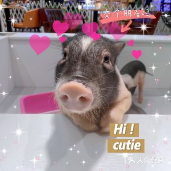 位置 在地铁十号线陕西南路一号口对面， 巴黎春天的三