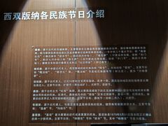 -西双版纳原始森林公园