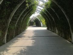 -天津东丽湖风景区