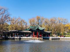 -MAP CHA普洱茶馆(翠湖店)