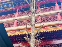 -钦赐仰殿道观