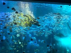 -哈尔滨波塞冬海底世界