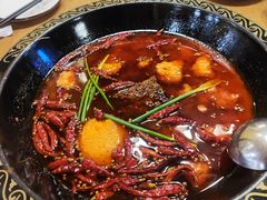 -小志家.野生菌鲜切牦牛肉牛杂火锅