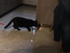 -和蕴日本料理