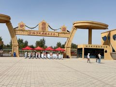 -金塔沙漠胡杨林景区