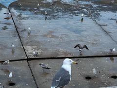 -星海广场