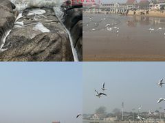 -老虎石海上公园