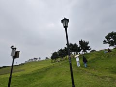 -小麦岛公园