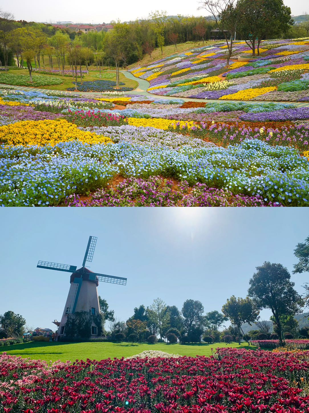 常州花海旅游景点地址图片