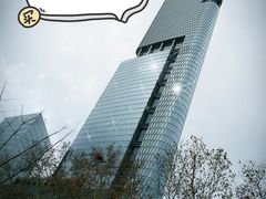 -紫峰大厦