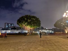 -石炮台公园