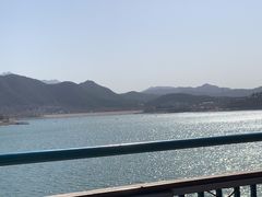 -望湖烤鱼