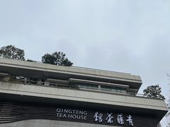-青藤茶馆(南山路店)