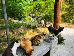 -四门塔风景区