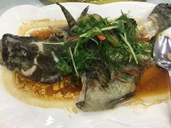-宜兴隆家宴·私房菜(泰安华庭店)