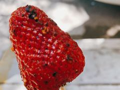 -雪儿钱局泡菜