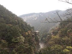 -庐山风景区花径公园