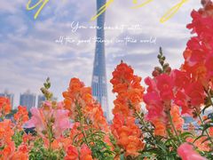 -海心沙亚运公园