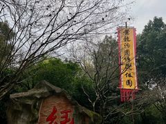 -杭州黄龙洞