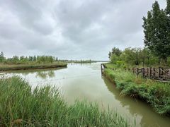 -野鸭湖国家湿地公园