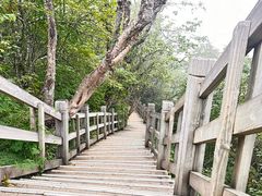-西岭雪山大飞水景区