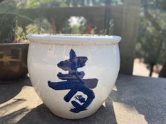 -超山青莲寺