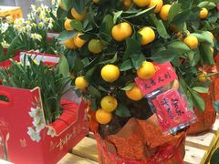 -山姆会员商店(上海浦东店)