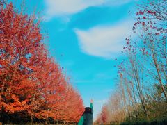 -南京枫彩漫城