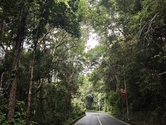-孔雀湖生态旅游区
