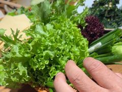 -鸽子窝(黄村店)