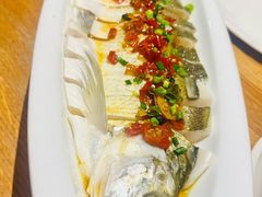 老坛剁椒蒸大白鱼-花舍·新派粤菜·西餐·下午茶(亚运村·鸟巢店)