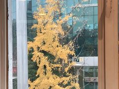 -金豆角砂锅焖面(安贞店)