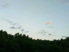 -大亚湾红树林城市湿地公园