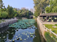 -水绘园