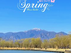 -野鸭湖国家湿地公园