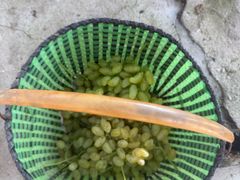 -大泽山风景名胜区