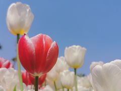 -厦门园林博览苑