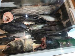 -老刘生态大鱼坊铁锅炖鱼(赛马场店)