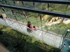 -梦幻奥陶纪景区